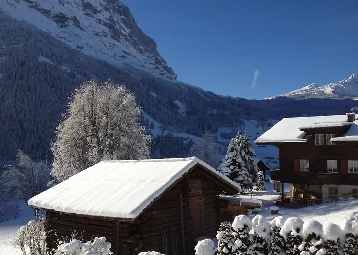 Baergsunna-1 By Interhome Apartment Grindelwald