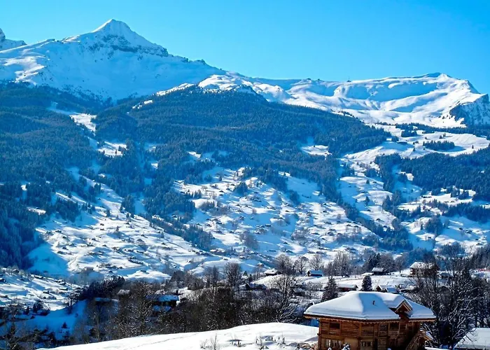 Baergsunna-1 By Interhome Apartment Grindelwald